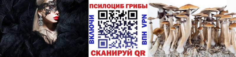 ОМГ ОМГ ссылки Реутов Галлюциногенные грибы мицелий купить сайты